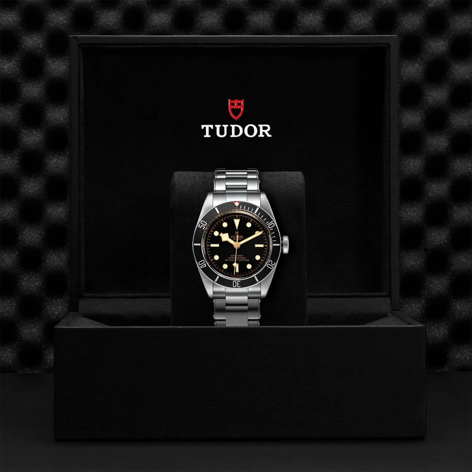 Black Bay 41mm Steel - M79230N-0009