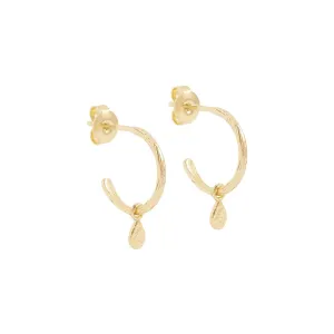 Gold Grace Hoop Earrings