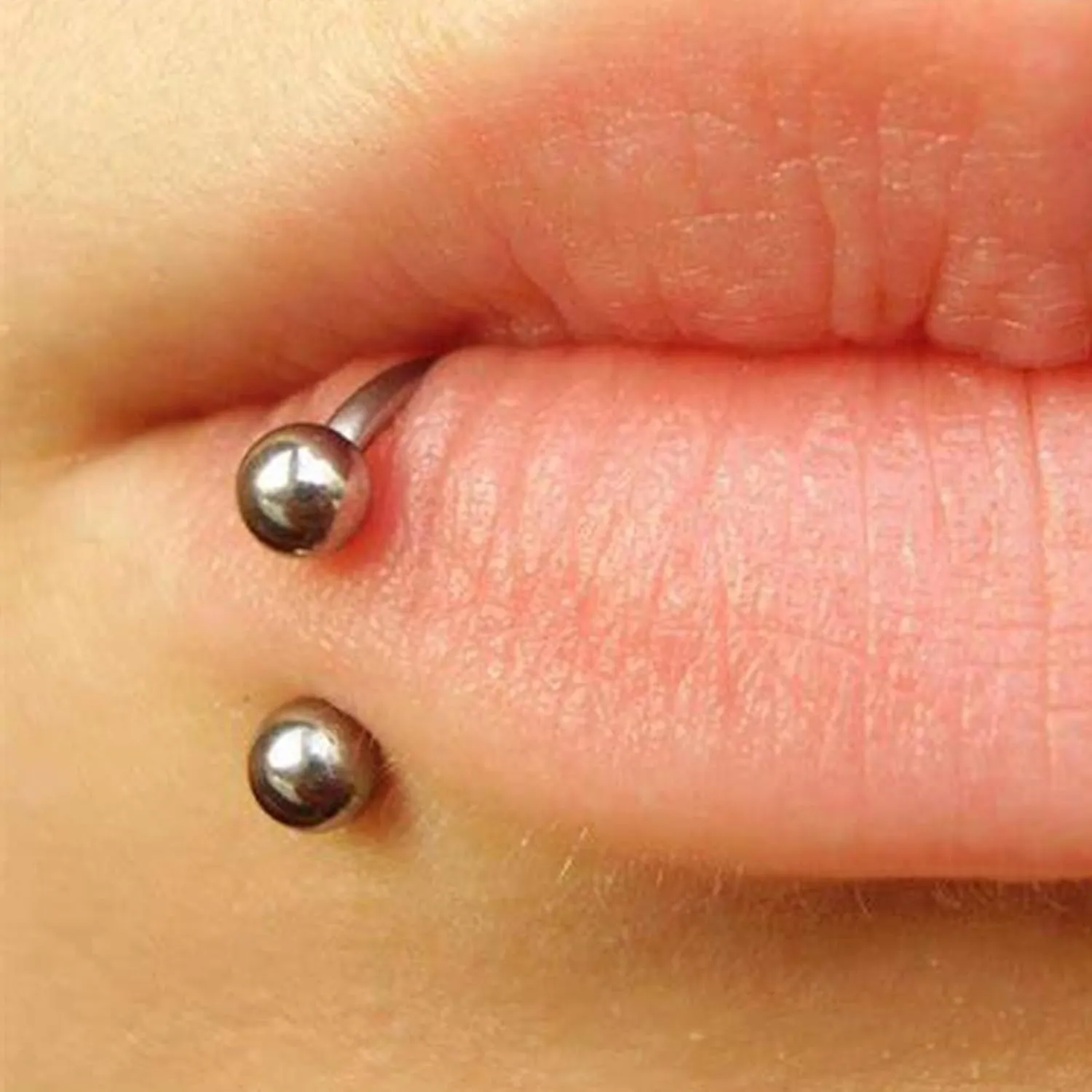 Longita Internally Threaded Septum Ring Silver Black Gold Septum Rings 16G Septum Piercing Surgical Steel Septum Jewelry Septum Nose Rings 16 Gauge Small Septum Ring Horseshoe with Replacement Balls