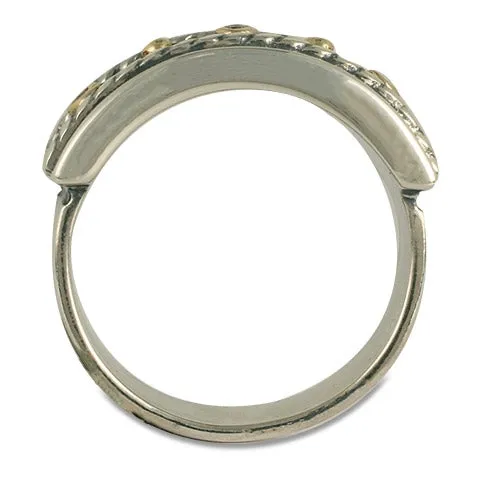 Venosa Ring