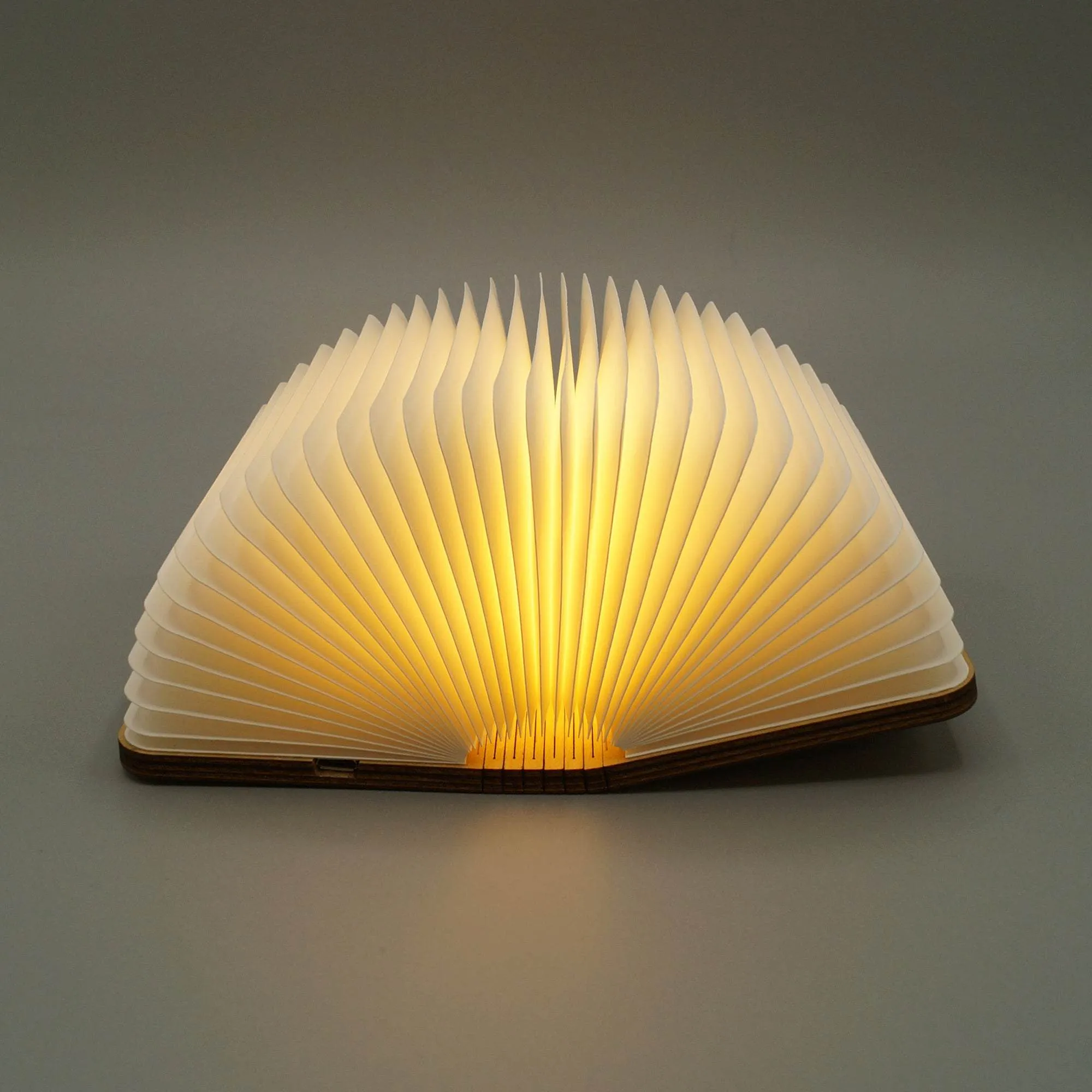You May Say I'm a Dreamer - Book Light (Sold Out)